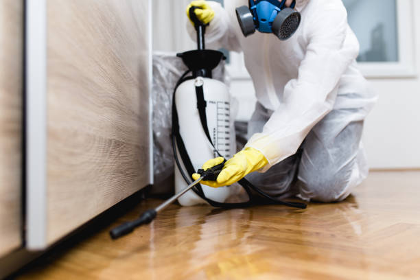 Best Best Pest Control Companies  in East Hills, NY