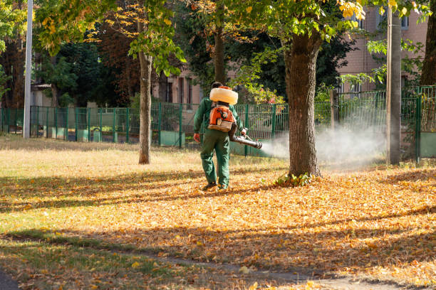 Best Local Pest Control Services  in East Hills, NY