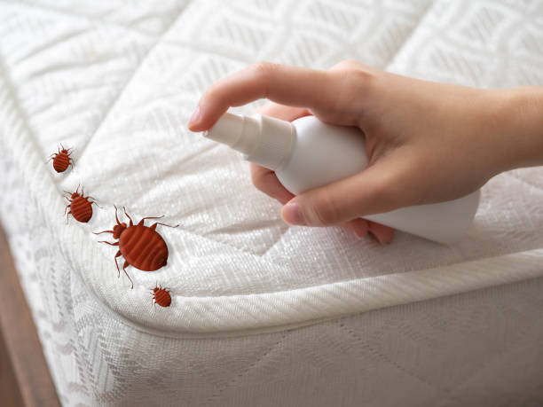 Best Bed Bug Extermination  in East Hills, NY