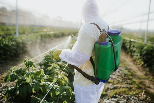 Best Emergency Pest Control  in East Hills, NY